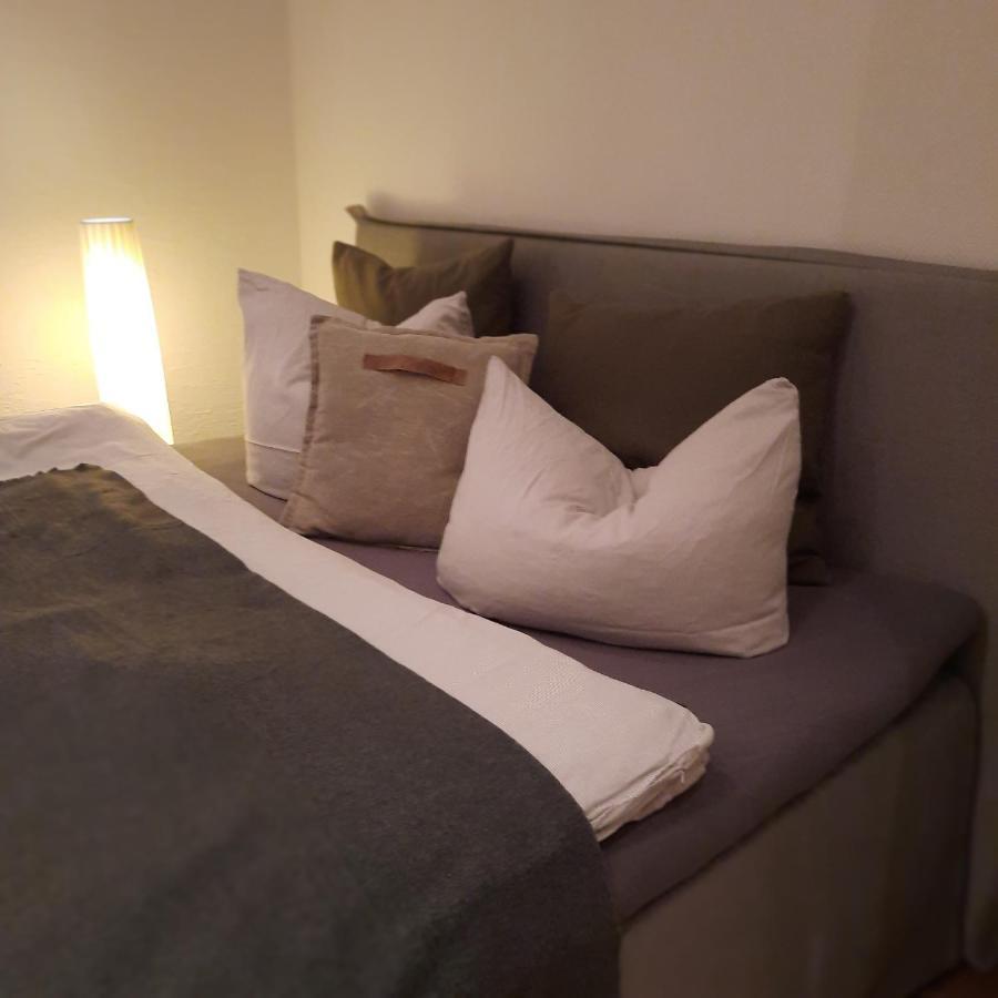Business-Lodging Apartmenthaus Höhr-Grenzhausen Esterno foto